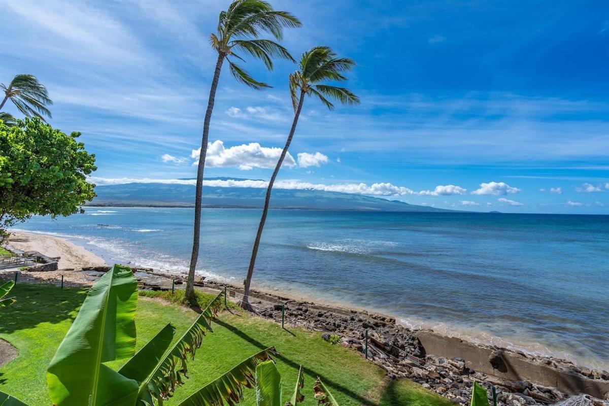 Direct Oceanfront—Fully Remodeled—Sleeps 6 Villa Wailuku Dış mekan fotoğraf